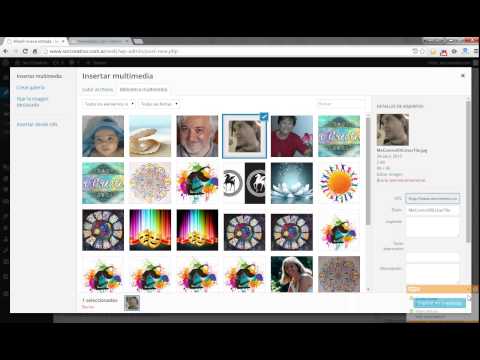 Miniatura · Wordpress: diferencia y uso de Entradas y Paginas. Añadir objetos